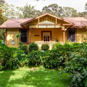 https://tutus-place-a-volcano-village-cottage.hotelsinhawaii.org