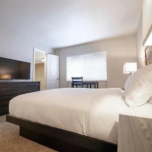 https://apt-204-westshore-south-tampa-apt.hotelstampa.org